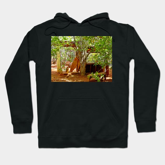 Molokai Study 6 Hoodie by bobmeyers